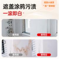 墙面小滚漆