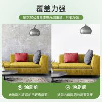水性环保内墙漆